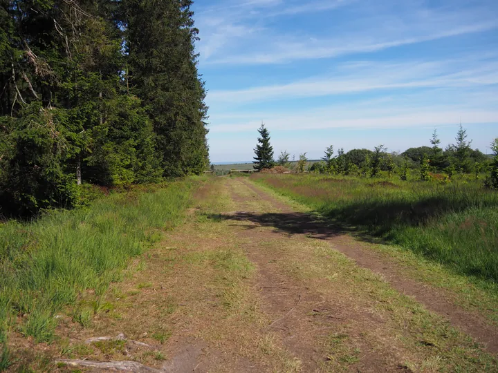 Signal de Botrange (België)